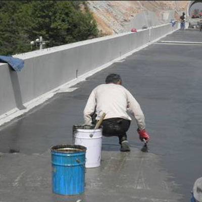 WPB桥面防水涂料